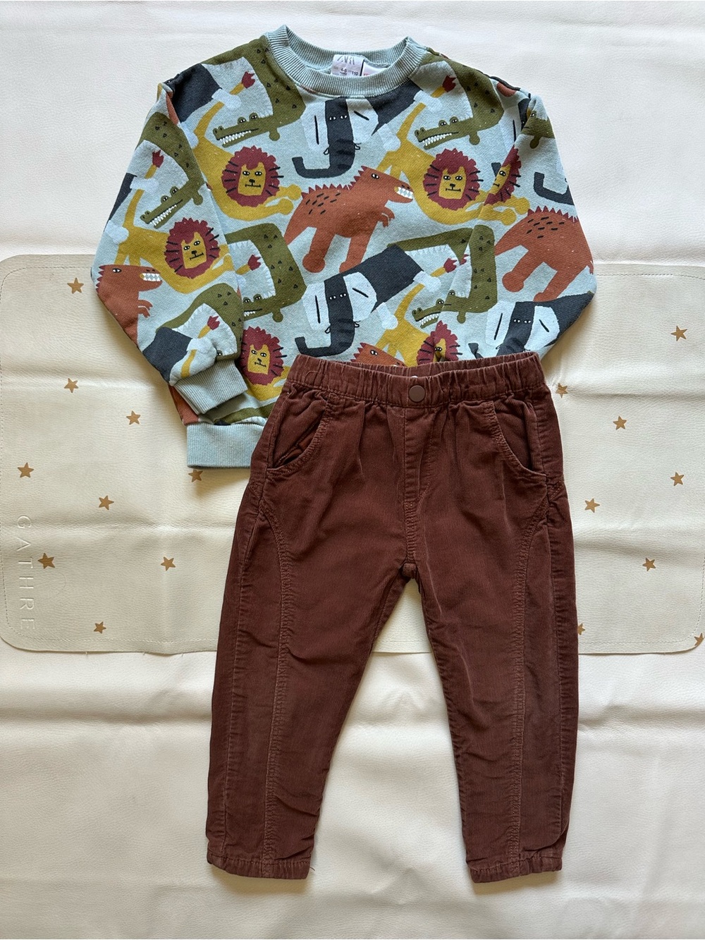 4/5 Zara Animal Print Crewneck & Brown Corduroy Pants